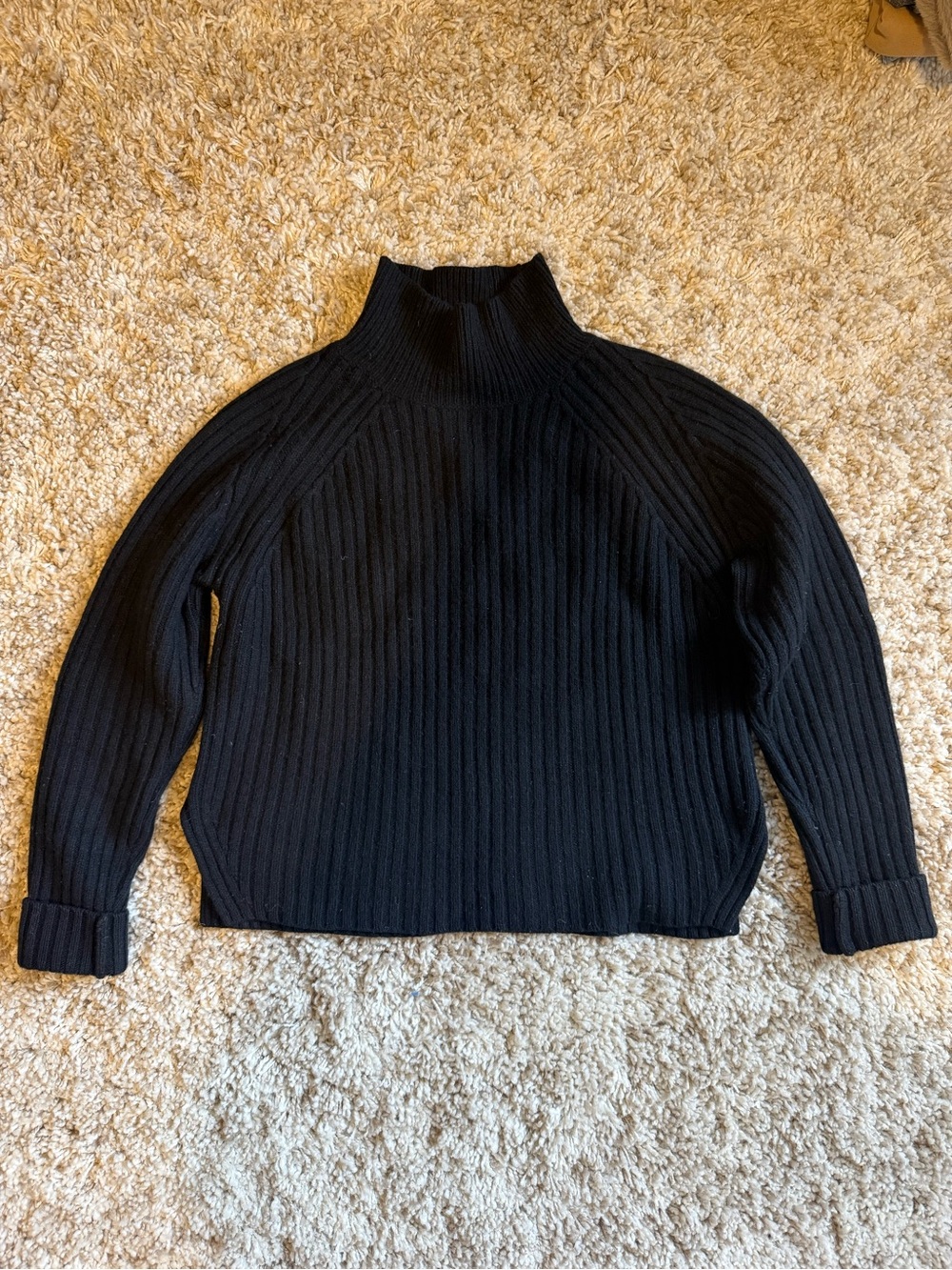 Everlane Black Ribbed Mock Neck Women's Sweater
